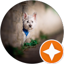 caz “caz” profile picture